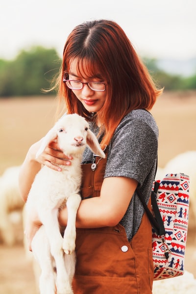 抱山羊的女人